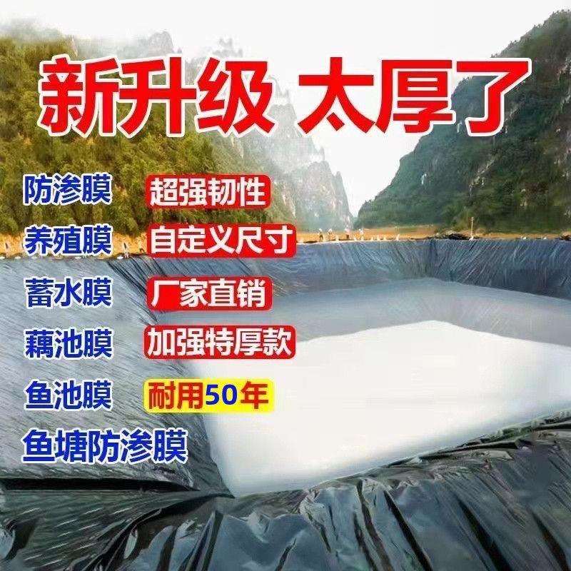 鱼塘膜防渗膜加厚鱼塘防水布蓄水池护坡耐用化粪池防漏鱼塘防渗膜