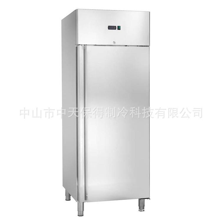 GN650BT 欧款商用单门冰箱冰柜单温立式厨房单开门冷冻柜冷藏保鲜