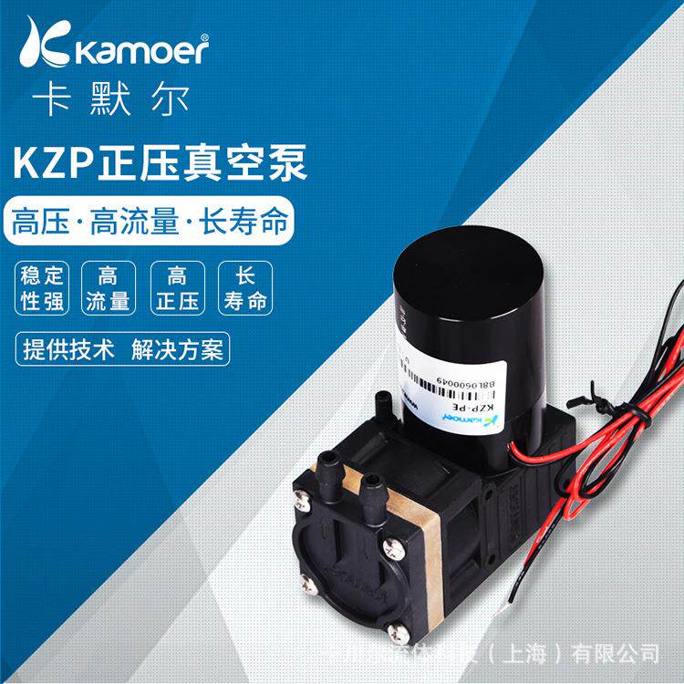 微型正压泵无刷真空泵卡默尔12v自吸泵24v电动抽气泵小型隔膜泵