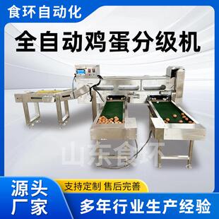 AI禽蛋分选机鸡蛋鸭蛋鹅蛋三用分级机养殖场蛋品初加工分级设备
