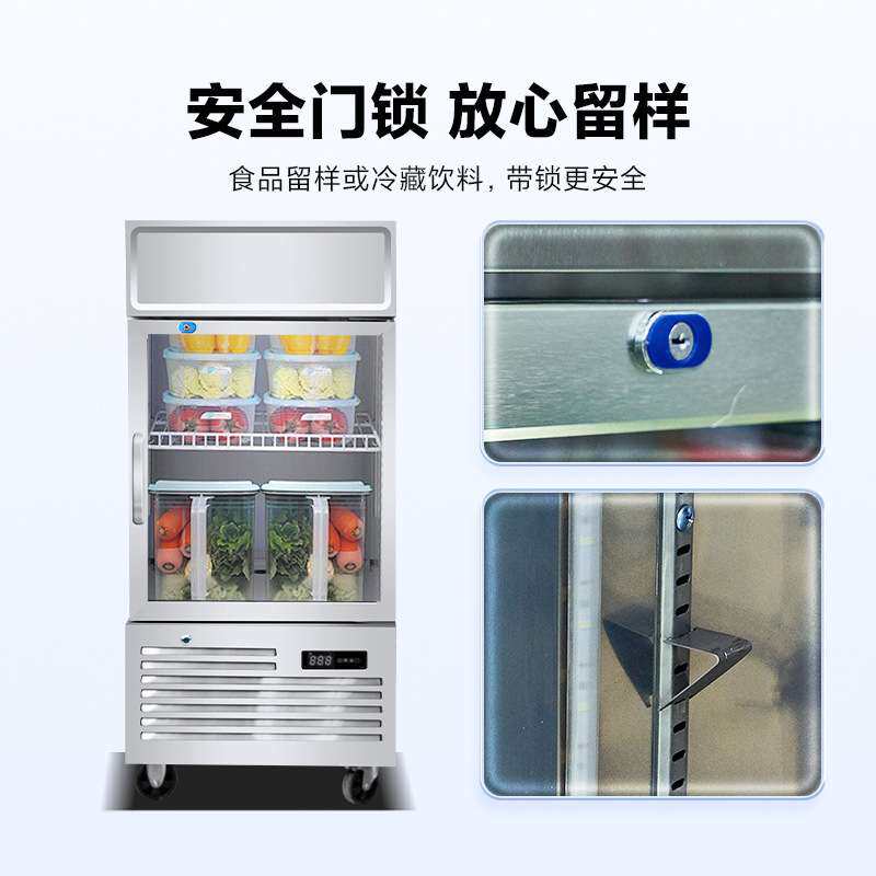 学校酒店专用留样冰柜商用冰箱小型带锁冷冻柜保鲜食品冷藏展示柜