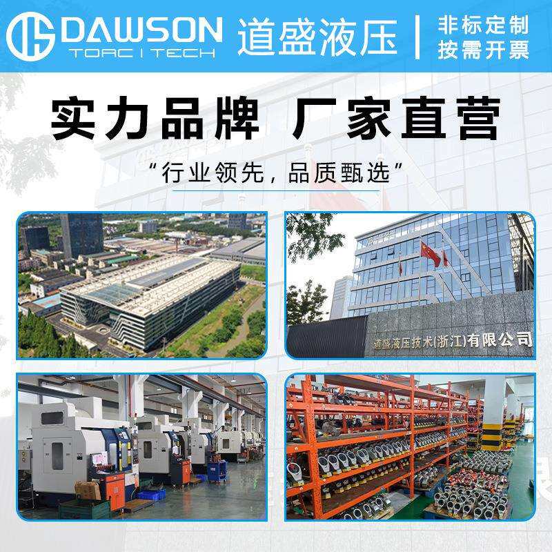 道盛液压拉马一体式DHP系列电动式轴承拆卸器工业级拔轮工具