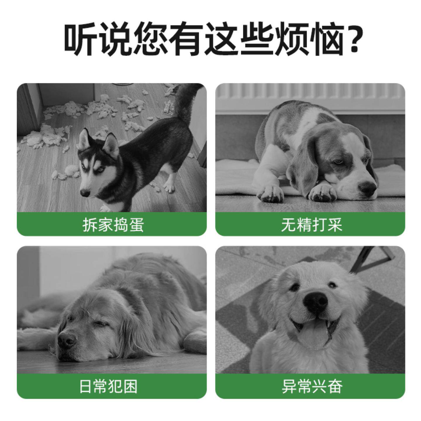 狗狗玩具球边境牧羊犬自嗨足球金毛柯基训狗专用宠物耐咬发声铃铛