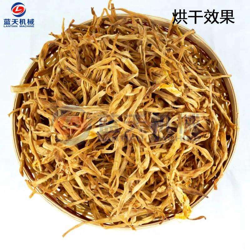 小型电加热黄花菜烘干机 忘忧草金针菜烘干机 萱草烘干设备一体机