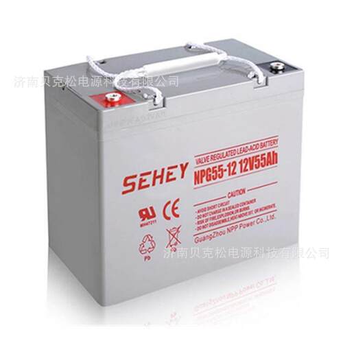 西力铅酸蓄电池NPG12-100SH太阳能发电船舶12v100a电瓶深循环