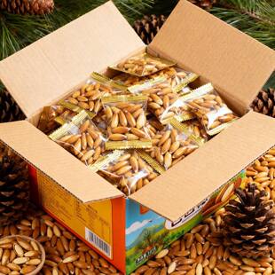 独立小包装手剥原味巴西松子2025年新货特大颗粒非特级阿富汗孕妇