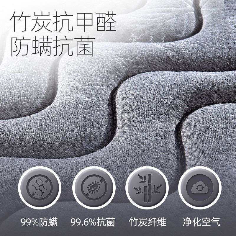 天然环保棕垫硬棕床垫椰棕垫1.5家用睡垫棕榈折叠1.2米宽1.8双人