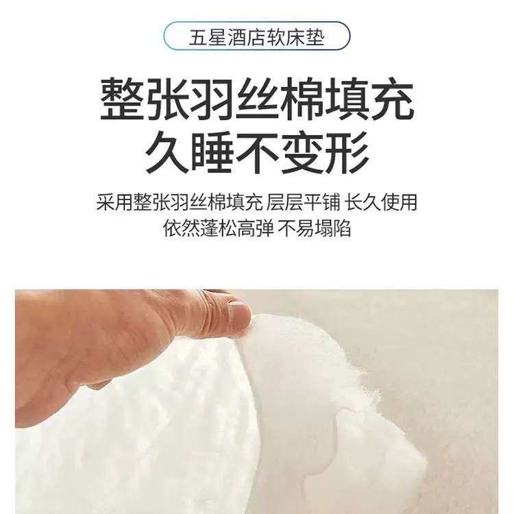 酒店宾馆加厚软床垫立体柔软民宿舒适单双人家用可折叠防滑床褥子