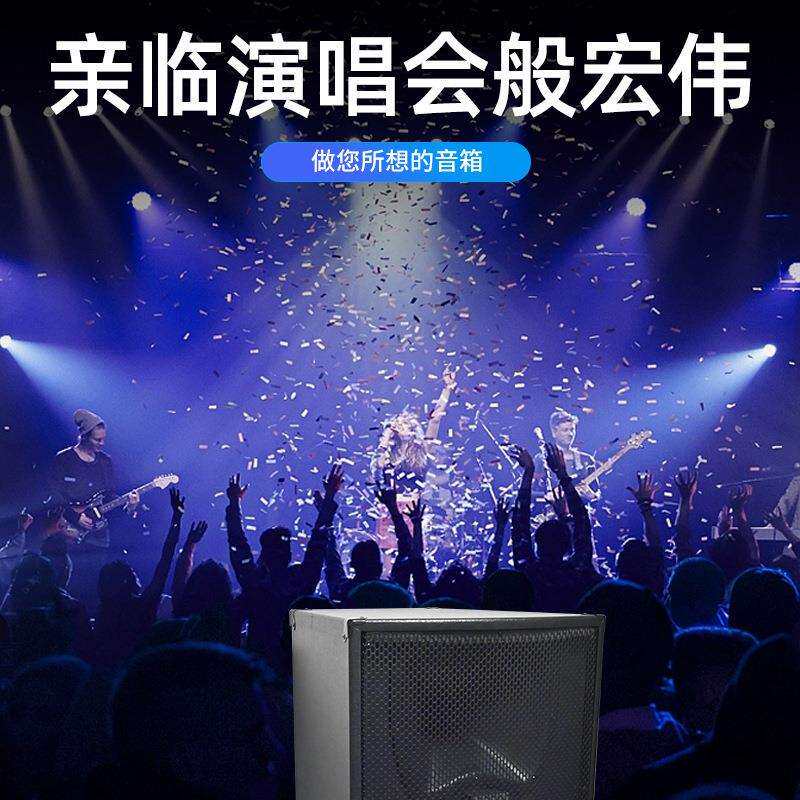 德俊利双15寸专业舞台演出音箱大功率户外婚庆商场大促销音响
