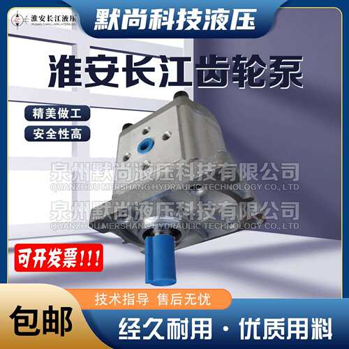 淮安长江齿轮泵CBN-G304/G306/G308/G310/G312/G314/G316/G320 泵