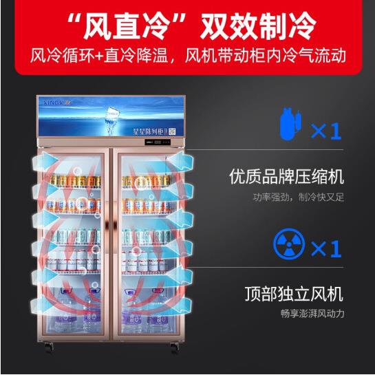星星展示柜冷藏双门饮料冰柜商用便利店超市大容量立式啤酒保鲜柜