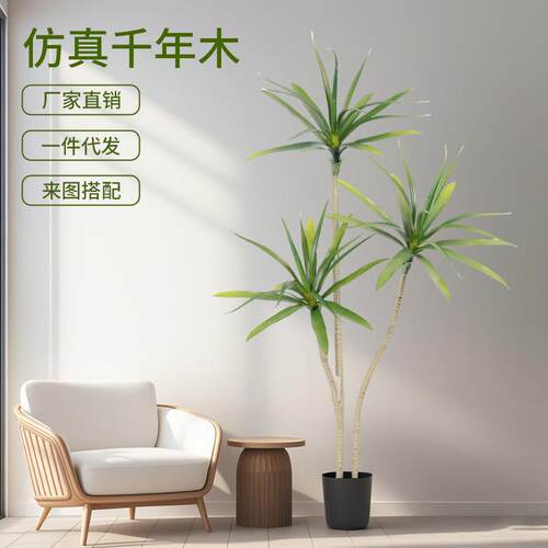 轻奢风仿真绿植千年木假树盆栽室内客厅落地装饰摆件仿生植物造景