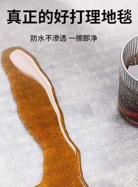 地毯秋冬客厅免洗可擦茶几沙发2024新款轻奢高级卧室房间灰色耐脏