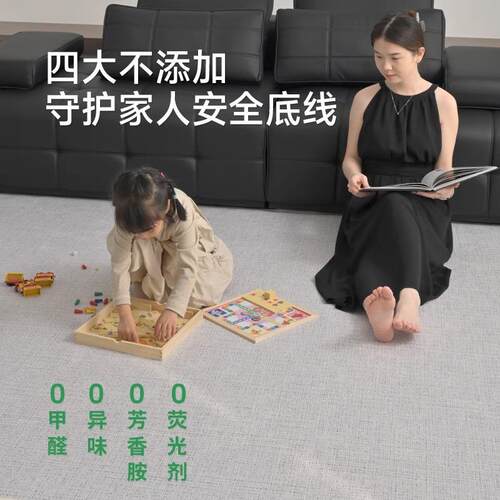 可拆洗地毯客厅新款意式可机洗卧室免洗可擦两层家用沙发茶几地垫