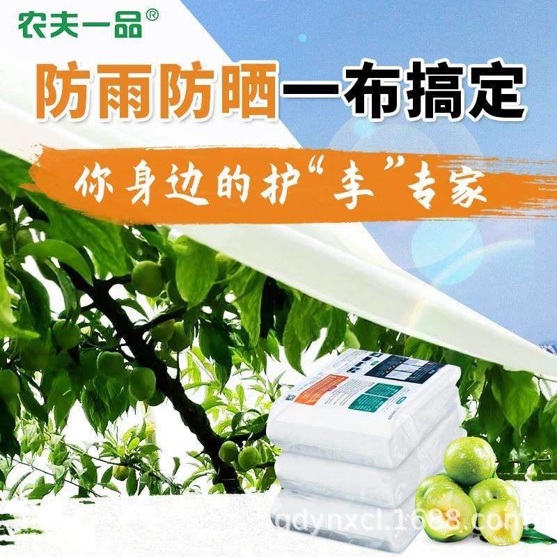 农夫一品果树防雨布防水防裂果李子樱桃透光透气耐拉伸抗风护李布图片