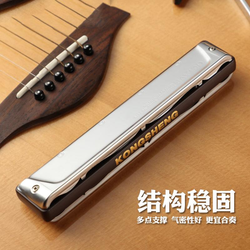 口琴成人24孔重音C调练习NO.2440高低音型重音乐器演奏型24孔口琴