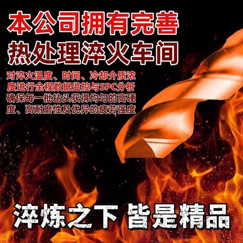正大4341全磨制直柄HSS麻花钻套装1-10mm19PCS多规格套钻现货