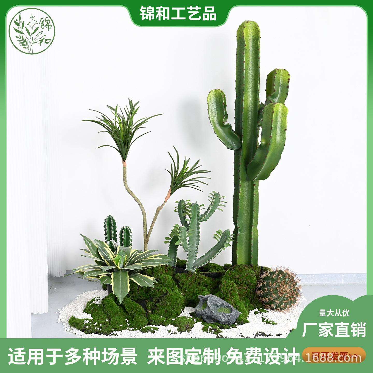 热带仿真仙人掌龙舌兰盆栽室内场景装饰摆件仙人柱套装假植物造景