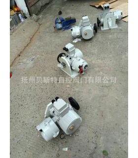 电动执行机构瑞基RAⅢ15AF14B4 0.55kW IP68 RJ06 RJ09 RJ19主板