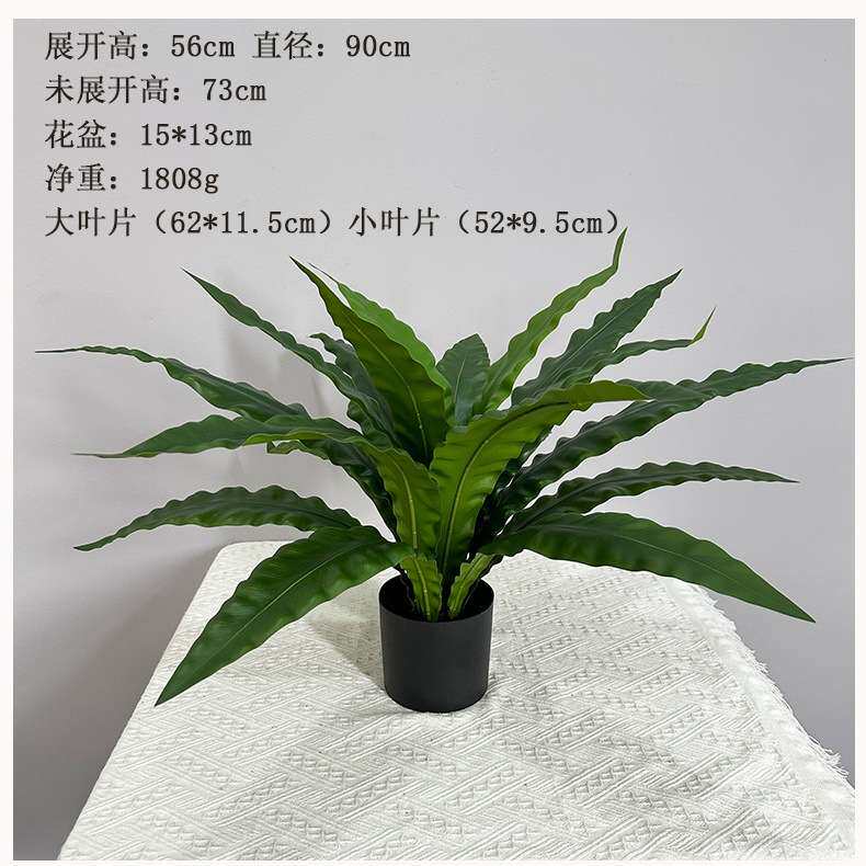 仿真蕨类植物鸟巢蕨蕨草室外微景观盆栽摆件造景婚庆装饰高档绿植