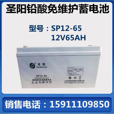 圣阳SP12-65铅酸免维护蓄电池12V65AH 不间断电源