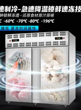 小型饺子速冻机家庭作坊早餐店适用批量饺子快速冷冻不粘黏速冻柜
