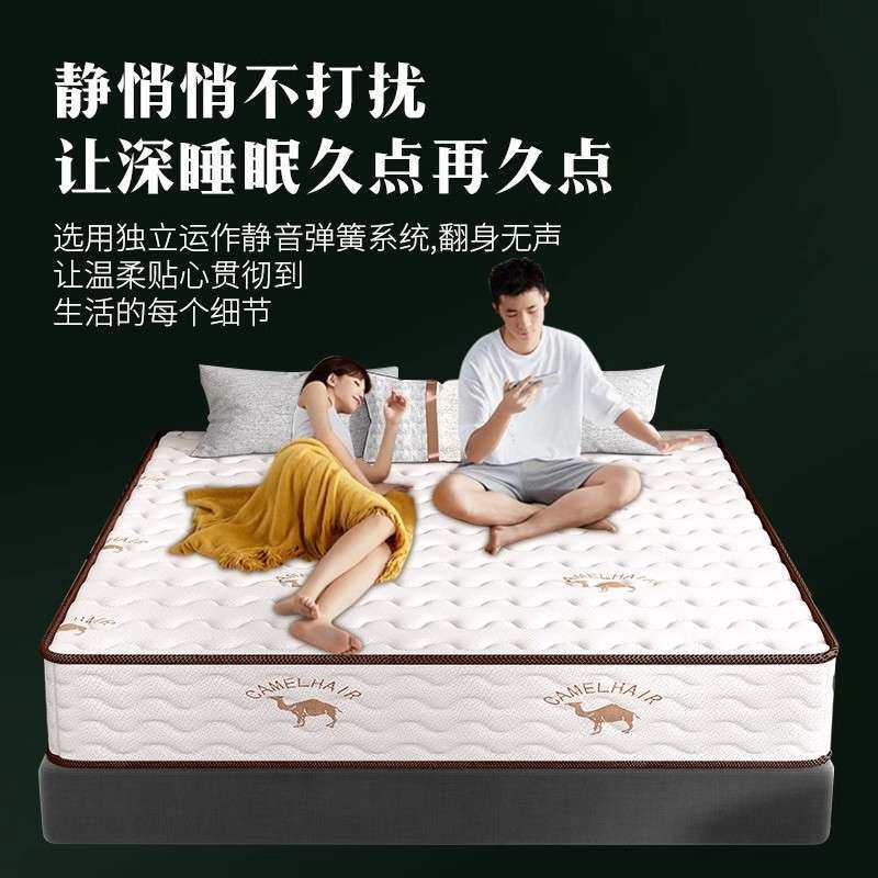 席梦思弹簧床垫经济型软硬两用20cm厚1.5米1.8m乳胶床垫租房家用