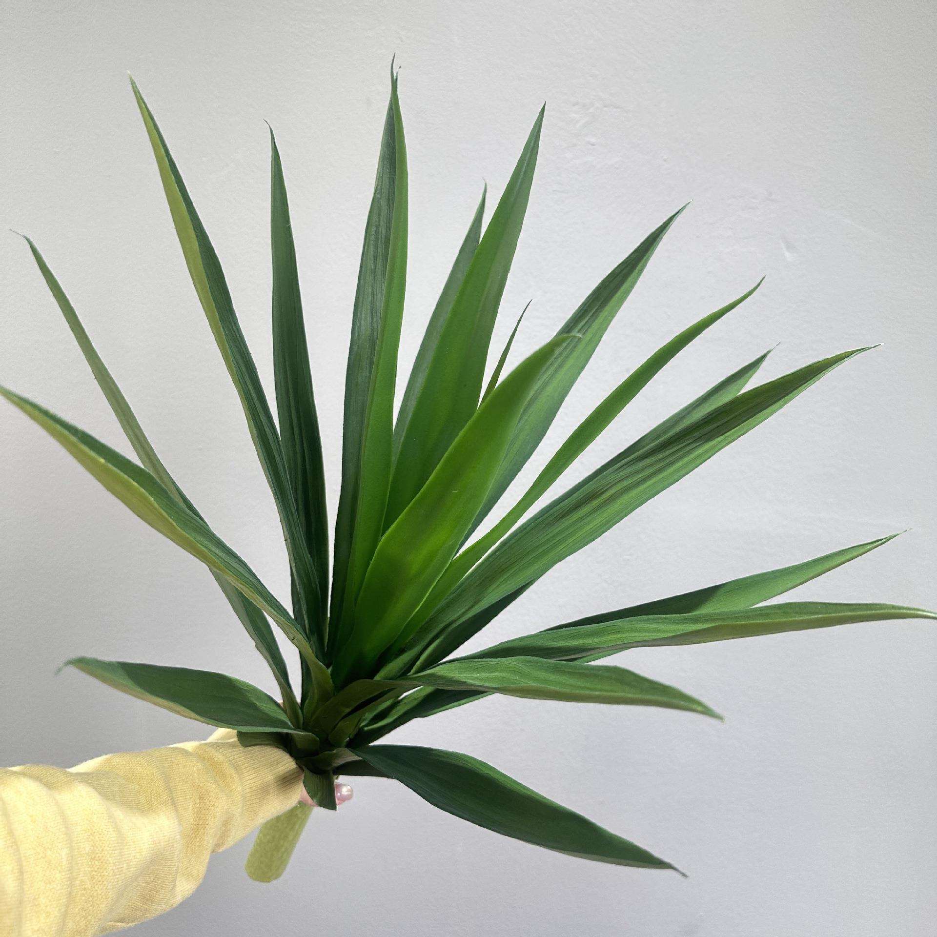 仿真龙舌兰剑兰绿色虎皮兰植物摆件装饰配材室内假绿植软装造景图片