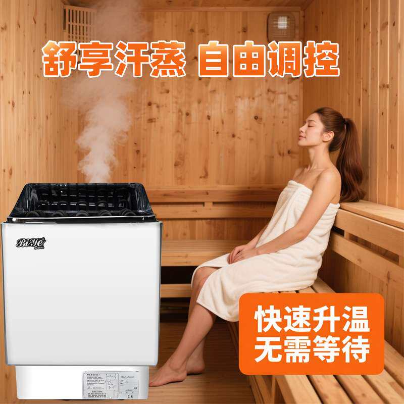 桑拿干蒸机304不锈钢桑拿炉家用商用汗蒸房专用设备桑拿炉跨境