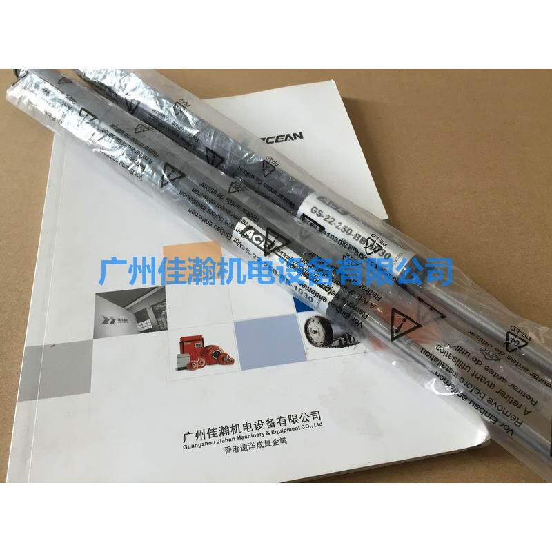 原装 ACE缓冲器 GS-19-200-AF-400 原装进口