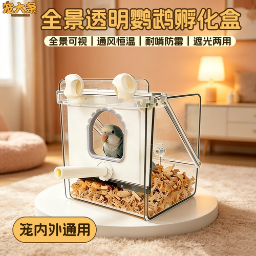 鹦鹉珍禽鸟蛋孵化器小型无遮挡