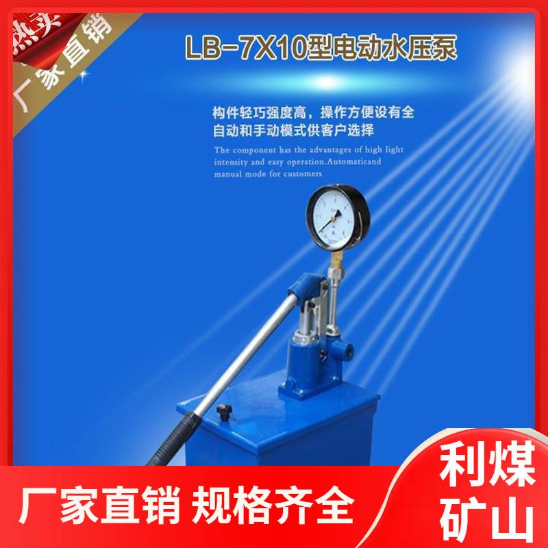 便携式LB-7×10手动水压泵 硫化机手动打压泵 微型电动水压泵