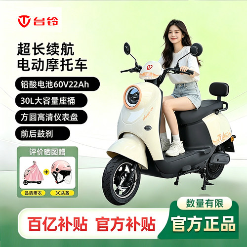 台铃铅酸电池60V22A电动摩托车