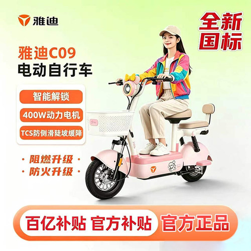 雅迪风采-G新国标48V21Ah智能车