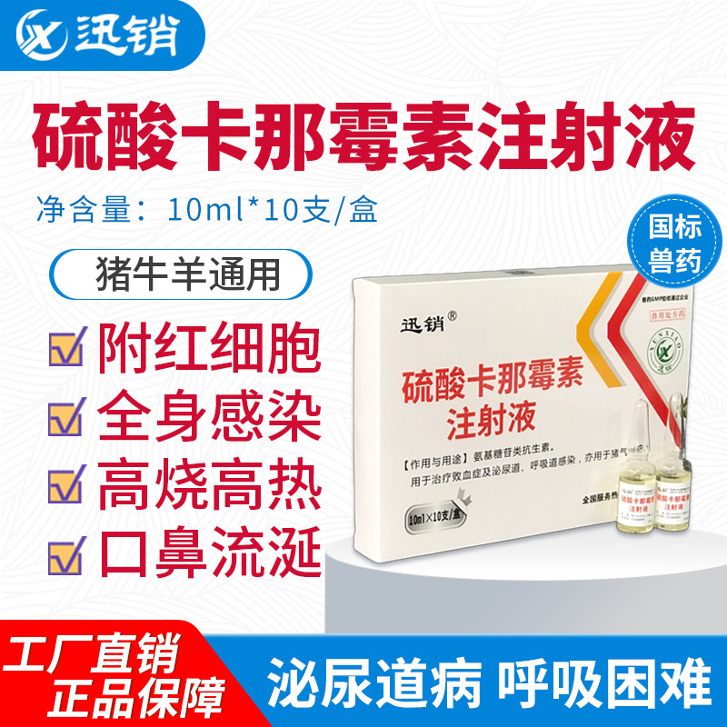 迅销硫酸卡那霉素注射液猪牛羊通用泌尿道病呼吸困难高烧高热兽药