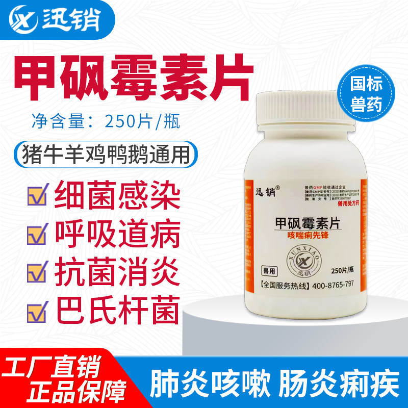 迅销甲砜霉素片250片猪牛羊鸡鸭鹅通用抗菌消炎呼吸道病