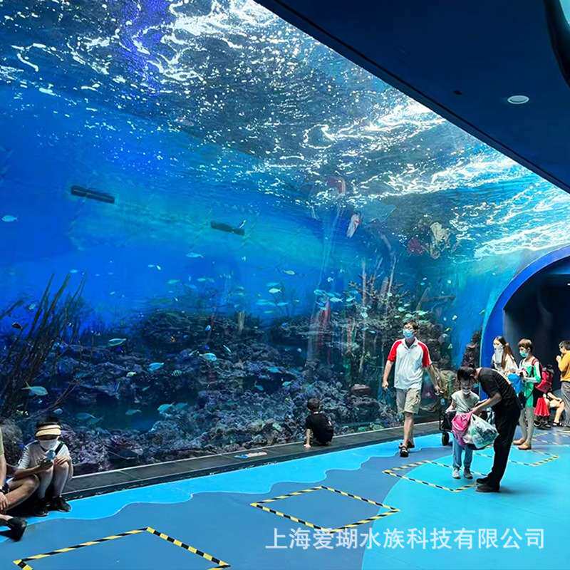 海洋水族馆图纸设计施工 承接大型海洋馆工程 水族馆安装造景工程