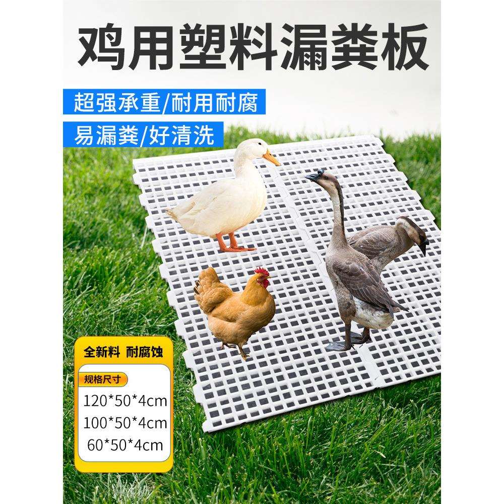 漏粪板鸡用鸡笼鸡粪鸽舍塑料漏粪板养小鸡鸭鹅漏粪网养殖专用设备
