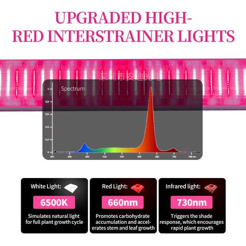 红白光植物生长灯补光灯100W 120瓦150w1米2防水调功率株间植物灯