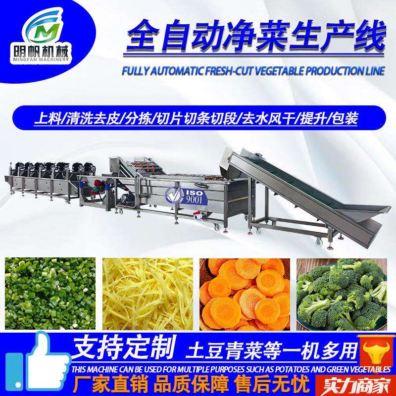 大型椰菜花气泡清洗机流水线 中央厨房净菜生产线 果蔬深加工设备