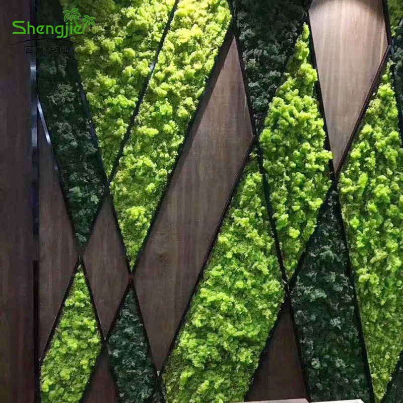 永生苔藓仿真植物墙青苔绿植商场墙壁绿化假植物造景仿真绿植墙