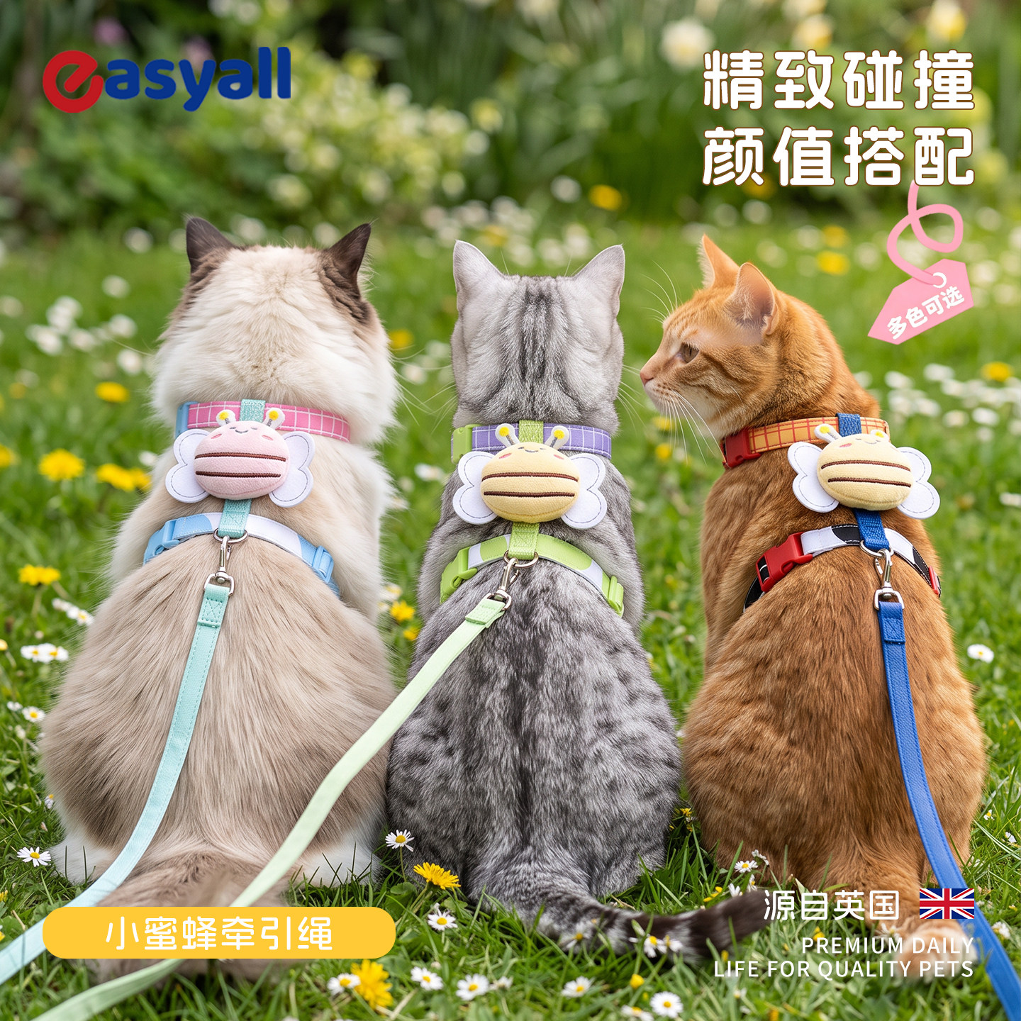 英国小蜜蜂牵引绳工字型背带防挣脱外出遛猫专用可调节猫咪绳子W5