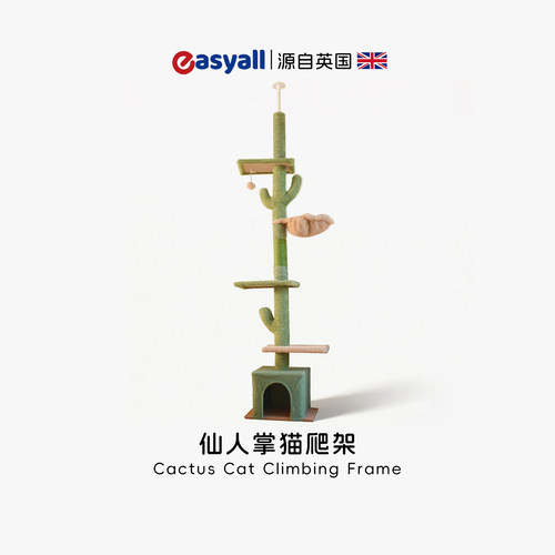 仙人掌悬空剑麻耐咬猫爬架