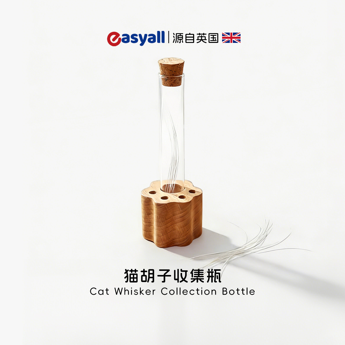英国猫胡子收集瓶创意试管底座