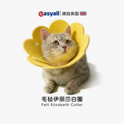 毛毡花朵造型猫狗伊丽莎白圈