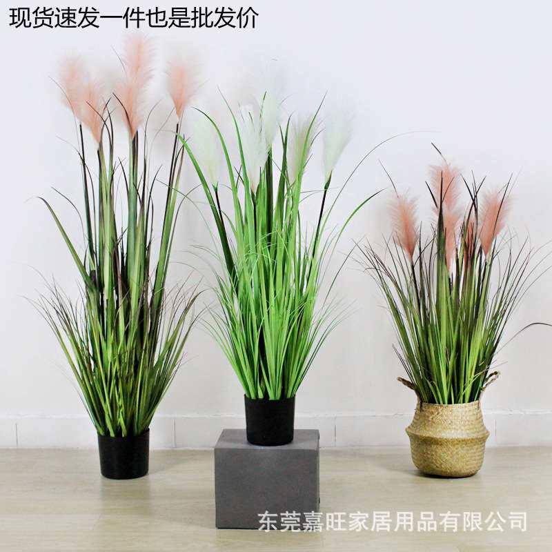 北欧绿植仿真芦苇盆栽干花假花道具水生植物蒲苇落地盆景高仿真