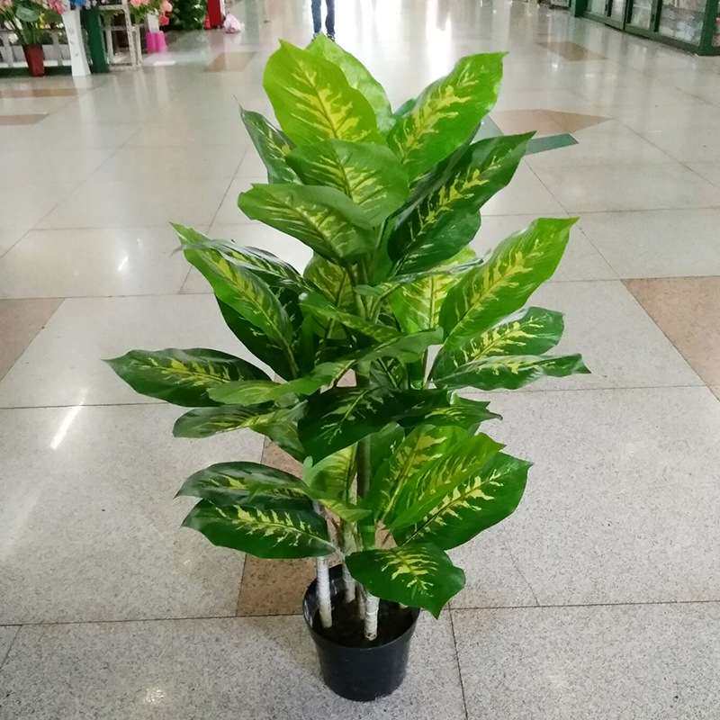 厂家 仿真万年青绿钻树盆景绿植盆栽塑料室内酒店陈列装饰摆件
