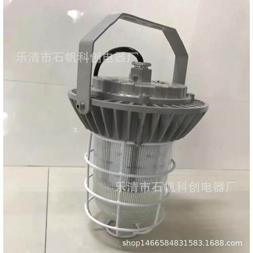 防护罩 LED防爆吸顶灯