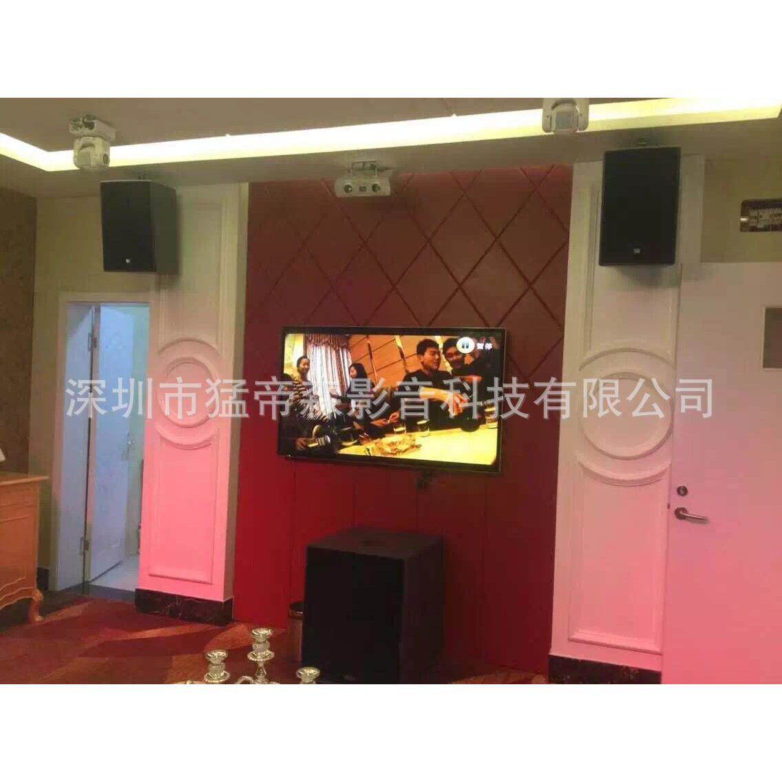 大型户外婚庆会议影剧院酒吧用双15寸专业音箱 专业演出音箱柜机