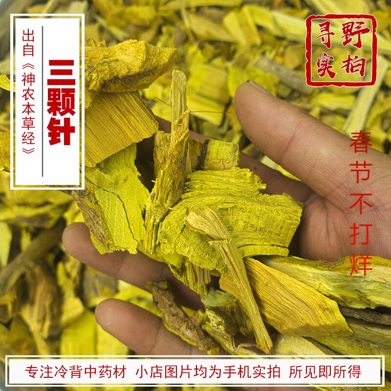 寻野实拍 材 三棵针 三颗针 根 钢针刺 刺黄连 刺黑珠 四川